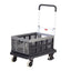 Foldaway Platform Trolley