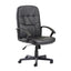 Cavalier - Leather Seating